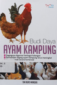 Budi daya ayam kampung