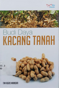 Budi daya kacang tanah