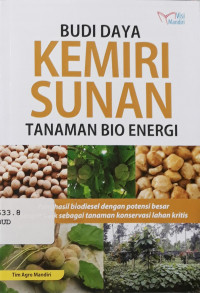 Budi daya kemiri sunan tanaman bio energi