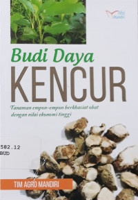 Budi daya kencur